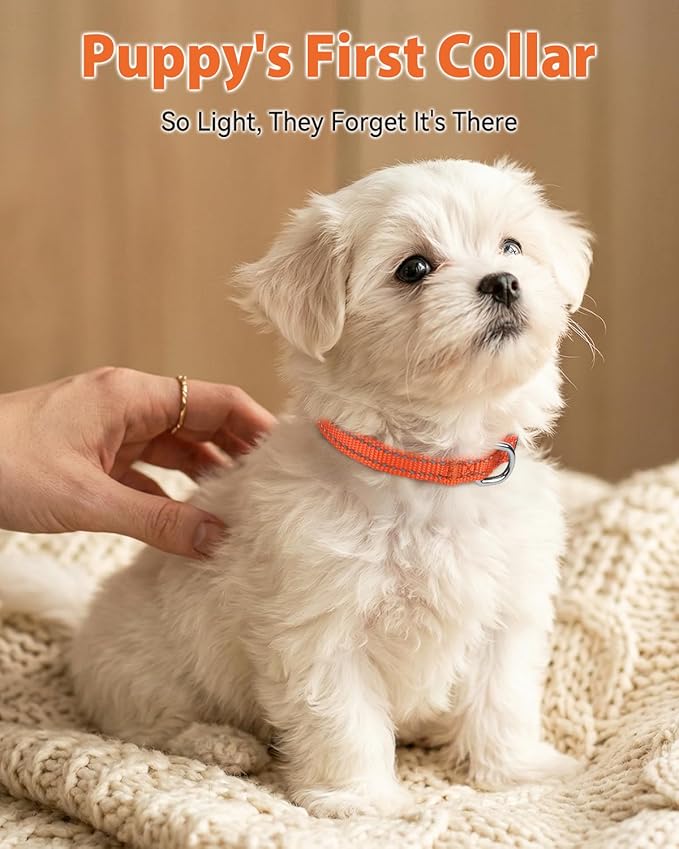 Joytale Puppy Collar, Feather-Light Double-Sided Reflective Nylon Collar for Night Safety, Adjustable Quick-Release for Extra Small Dogs, Orange, XS (3/8" Width)