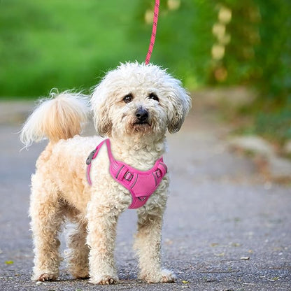 BARKBAY No Pull Dog Harness Large Reflective Dog Harness with Front Clip and Easy Control Handle for Walking Training Running with ID tag Pocket(Pink,S)