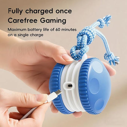 Interactive Dog Toy – Automatic Electric Rolling Ball with Rope, Motion-Activated Play, Random Movement, Rechargeable, Ideal for Boredom Relief for All Dog Sizes