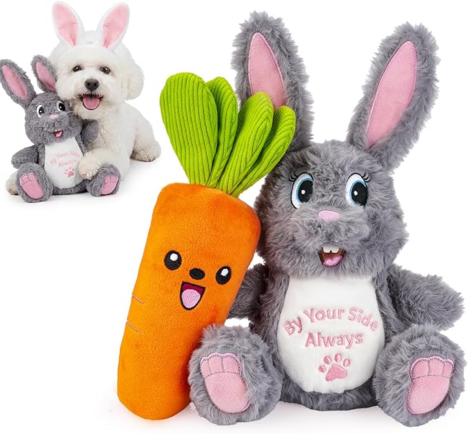 Dog Toys for Small Dogs, Cute Bunny & Carrot Plush Squeaky Dog Toy Set with Crinkle Paper, Soft Interactive Puppy Toys for Indoor Play, Gentle Chewers, 2 Pack