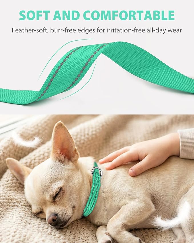Joytale Puppy Collar, Feather-Light Double-Sided Reflective Nylon Collar for Night Safety, Adjustable Quick-Release for Extra Small Dogs, Teal, XS (3/8" Width)