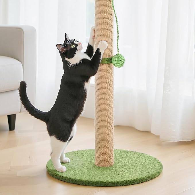 DUMOS Small 33inch Cat Scratching Post for Indoor Cats, Cat Scratcher Scratching Posts with Dangling Ball for Adult, Palm Tree Cat Scratch Post for Kittens, Green