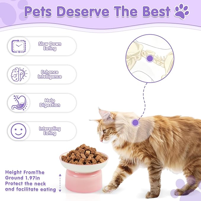 Cat Food Bowl, Ceramic Cat Bowls, Anti Whisker Fatigue Cats Bowl Set,Shallow Wide Kitten Plates for Food and Water (Pale Pink)