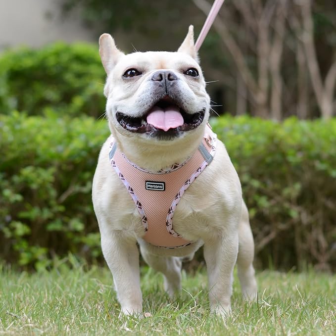 Mercano Soft Mesh Dog Harness and Leash Set, No-Chock Step-in Reflective Breathable Lightweight Easy Walk Vest Harnesses with Safety Buckle for Small Dogs, Cats (Champagne, XL)