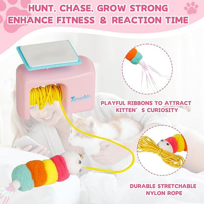 Interactive Cat Toy for Indoor Cat, Automatic Door Hanging Cat Toy with Detachable Design, Kitten Toys for Indoor Cats Self Play, 3.27 * 1.69 * 2.76Inch (Pink)