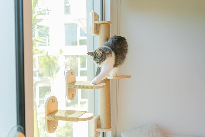 4-in-1 Window & Wall Mount Cat Wall Shelves – Hammock, Scratching Post & Perch | Fits up to 40 lbs | Space-Saving Pet Furniture for Windows, Glass & Drywall | Modern Wood Cat Shelf Set