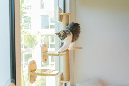 4-in-1 Window & Wall Mount Cat Wall Shelves – Hammock, Scratching Post & Perch | Fits up to 40 lbs | Space-Saving Pet Furniture for Windows, Glass & Drywall | Modern Wood Cat Shelf Set