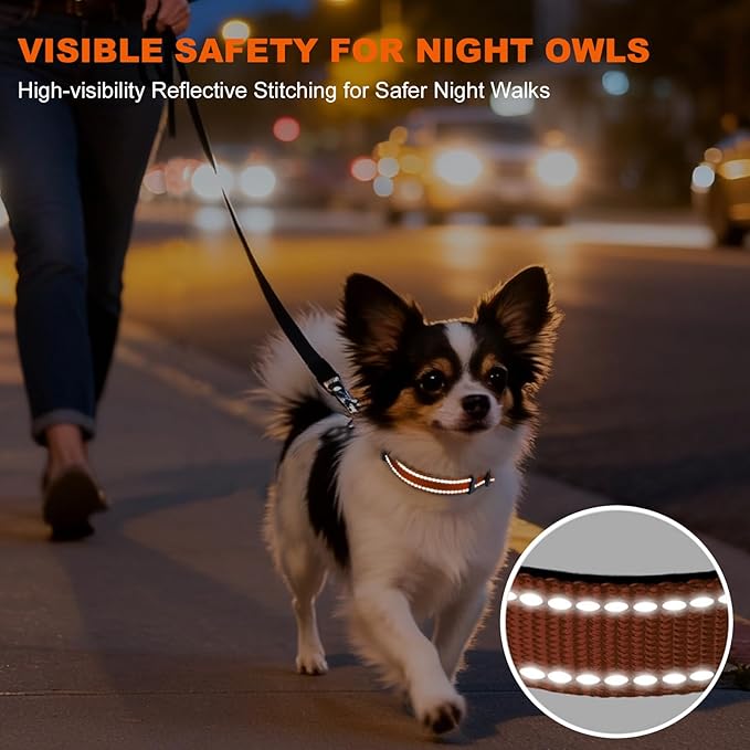 Taglory Reflective Dog Collar with Safety Locking Buckle, Soft Neoprene Padded Dog Collar for Puppy Dogs, Metal D-Ring, Adjustable Nylon Neck Strap for Daily Walking, Training & Running, Orange, XS