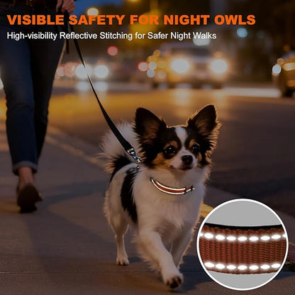 Taglory Reflective Dog Collar with Safety Locking Buckle, Soft Neoprene Padded Dog Collar for Puppy Dogs, Metal D-Ring, Adjustable Nylon Neck Strap for Daily Walking, Training & Running, Orange, XS
