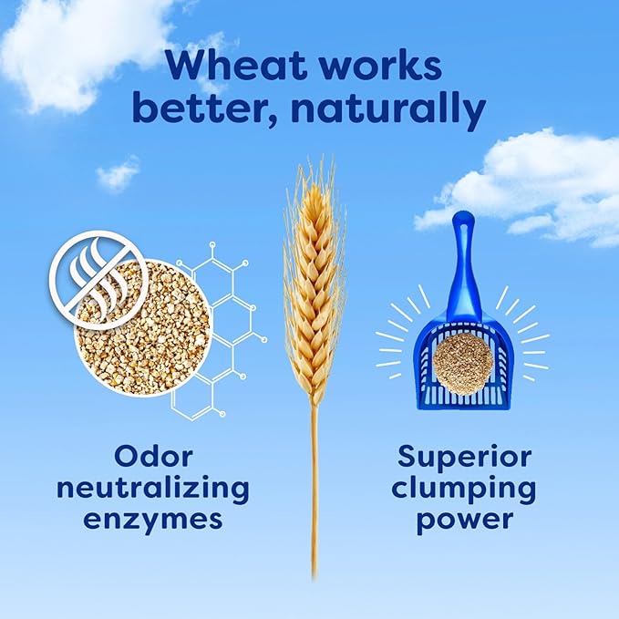 sWheat Scoop Natural Wheat & Corn Cat Litter, Easy Maintenance, Absorbs on Contact with Plant-Based Odor Control, 28 Pound Bag