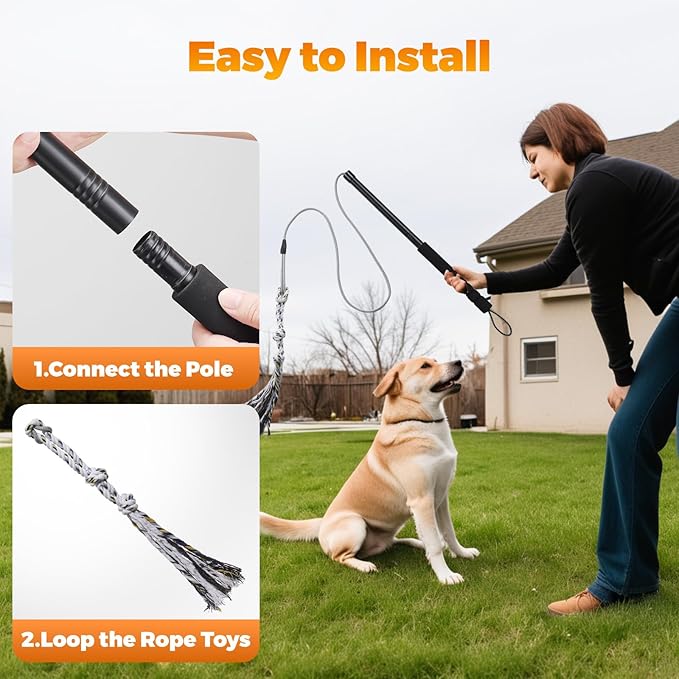 Pragmatist Outdoor Flirt Pole for Dog, Detachable Dog Flirt Pole Heavy Duty Sturdy Pet Toys for Outdoor Exercise & Training Durable Teaser Wand Interactive Toy for Small Medium Large Dogs, Black