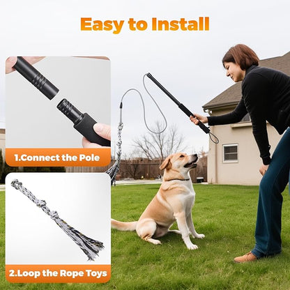 Pragmatist Outdoor Flirt Pole for Dog, Detachable Dog Flirt Pole Heavy Duty Sturdy Pet Toys for Outdoor Exercise & Training Durable Teaser Wand Interactive Toy for Small Medium Large Dogs, Black