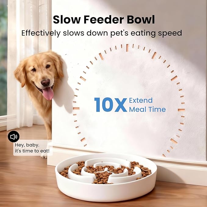 Ceramic Slow Feeder Dog Bowls,0.6 Cups Slow Feeder for Medium Large Breed,Puzzle Dog Food Bowl to Slow Down Eating, Anti-Gulping, Stop Bloat,Preventing Choking,6in,White