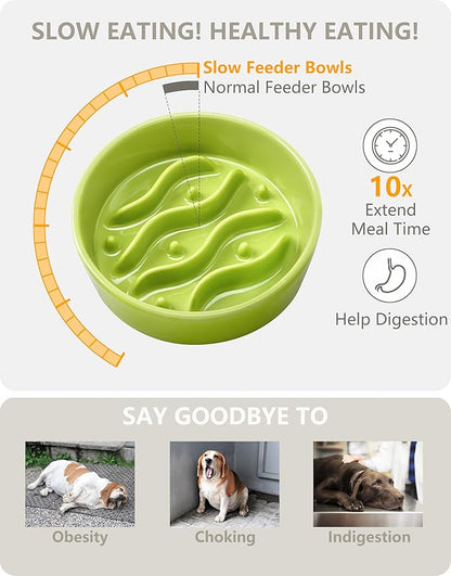 Ceramic Slow Feeder Dog Bowls Elevated, 0.6 Cup Dog Slow Feeder for Small Dogs, Puzzle Maze Bowl, 14oz, 6in, Lime Green