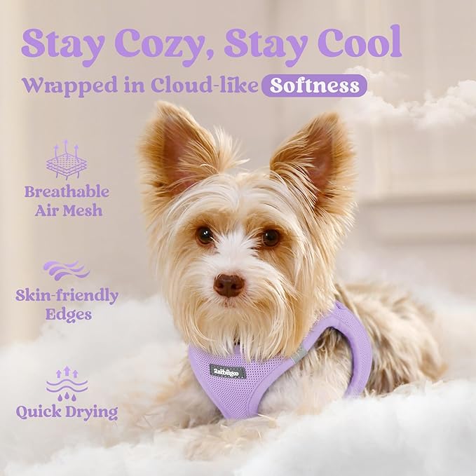 rabbitgoo Small Dog Harness, Step-in Soft Mesh Puppy Vest with Safety Buckle, Breathable Reflective Pet Harness for Large Dogs, Light Purple XXL