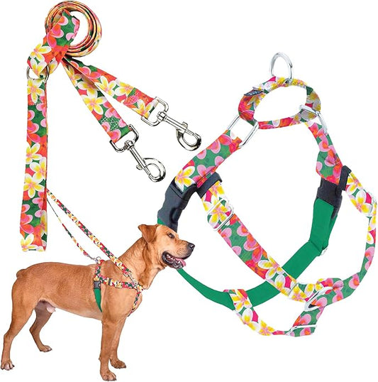 2 Hounds Design - Freedom No-Pull Harness & Training Leash in Green Aloha | Dual Leash Loops, No Pulling on Walks | Lined to Prevent Chaffing | for Large Sized Dogs (Size L, Chest 28”- 32”)