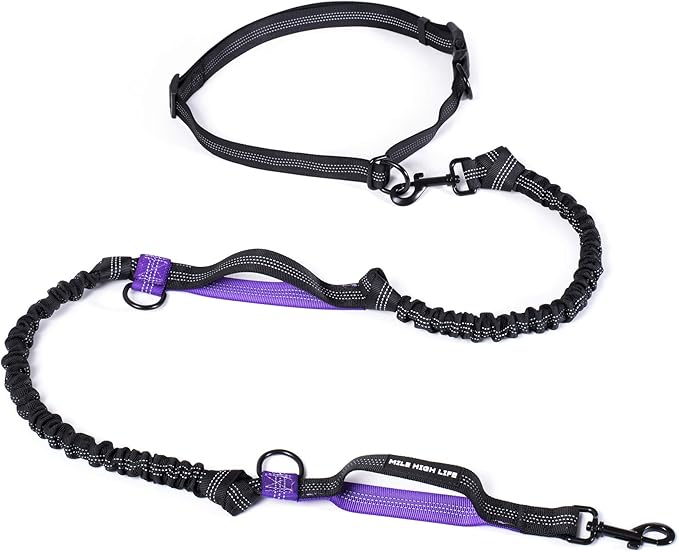 Mile High Life Hands Free Waist Leash for Dog Running Training and Jogging, Adjustable Belt with Double Handle, Reflective Bungee for Medium Large Dogs (Purple, 7FT)