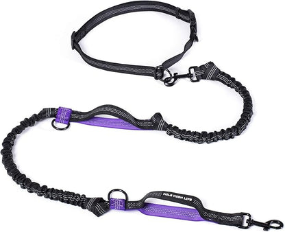 Mile High Life Hands Free Waist Leash for Dog Running Training and Jogging, Adjustable Belt with Double Handle, Reflective Bungee for Medium Large Dogs (Purple, 7FT)