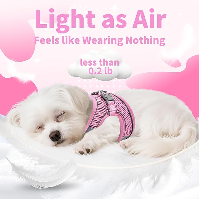 AIITLE Step in Dog Harness and Leash Set - No Pull Escape Proof Vest Harnesses with Soft Mesh and Reflective Bands, Adjustable Pet Outdoor Harnesses for Small and Medium Dogs Pink M