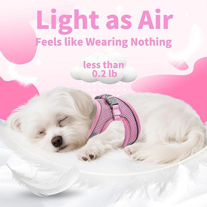 AIITLE Step in Dog Harness and Leash Set - No Pull Escape Proof Vest Harnesses with Soft Mesh and Reflective Bands, Adjustable Pet Outdoor Harnesses for Small and Medium Dogs Pink M