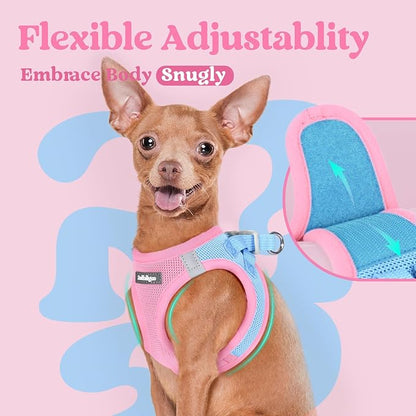 rabbitgoo Small Dog Harness, Step-in Soft Mesh Puppy Vest with Safety Buckle, Breathable Reflective Pet Harness for Small Sized Dogs, Blue & Light Pink XS