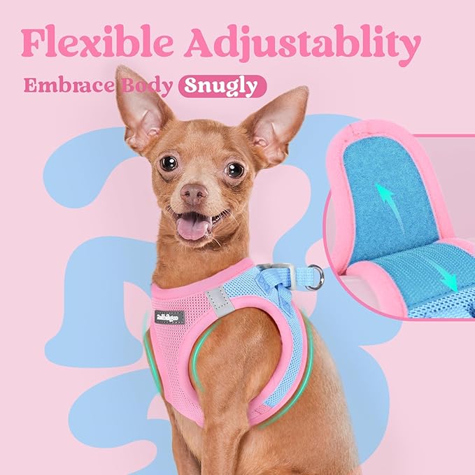 rabbitgoo Small Dog Harness, Step-in Soft Mesh Puppy Vest with Safety Buckle, Breathable Reflective Pet Harness for Small Medium Dogs, Blue & Light Pink XL
