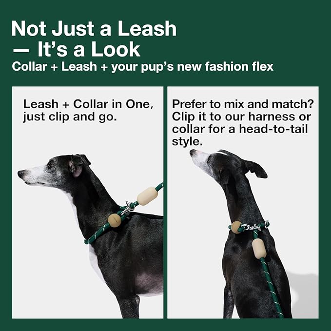 VETRESKA Hands-Free Dog Leash, 8FT Rope Leash for Medium Large Dogs, Waist/Crossbody Slip Lead Leashes for Walking, No Pull Dog Leashes with Bag Dispenser, 2 in 1 Walk Kit (Santal Forest)
