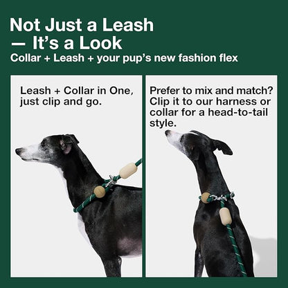 VETRESKA Hands-Free Dog Leash, 8FT Rope Leash for Medium Large Dogs, Waist/Crossbody Slip Lead Leashes for Walking, No Pull Dog Leashes with Bag Dispenser, 2 in 1 Walk Kit (Santal Forest)
