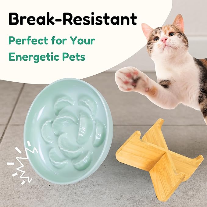 Slow Feeder Cat Bowl with Stand - Unbreakable Elevated Slow Feeder Bowl for Cats - Melamine Puzzle Raised Cat Food Bowl - Whisker Friendly & Wet & Dry Food- Dishwasher Safe & Non Slip (Green