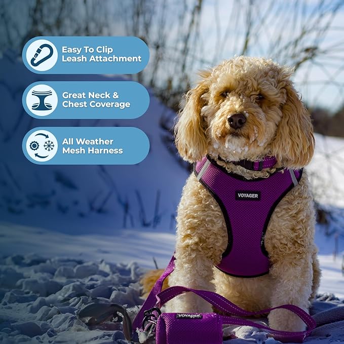 Best Pet Supplies - All Weather Mesh/Plush, Reflective, No Pull Harness for Small, Medium Dogs, Cats - Secure with Hook & Loop Fastener, Buckle, Double D-Rings - Purple/Black Trim, XS