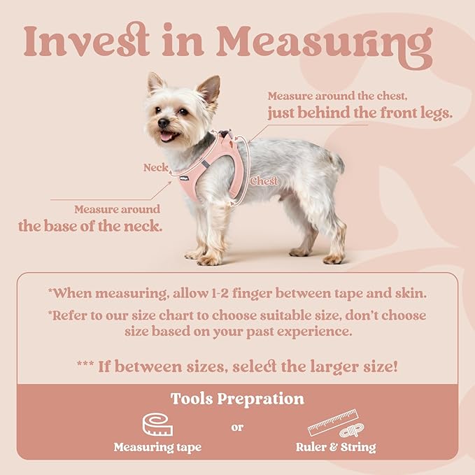 rabbitgoo Small Dog Harness, Step-in Soft Mesh Puppy Vest with Safety Buckle, Breathable Reflective Pet Harness for Small Medium Dogs, Pink L