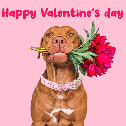 Faygarsle Valentine's Day Dog Collar, Pink with Red and White Hearts Pattern, Adjustable with Quick-Release Buckle and Heart Charm M