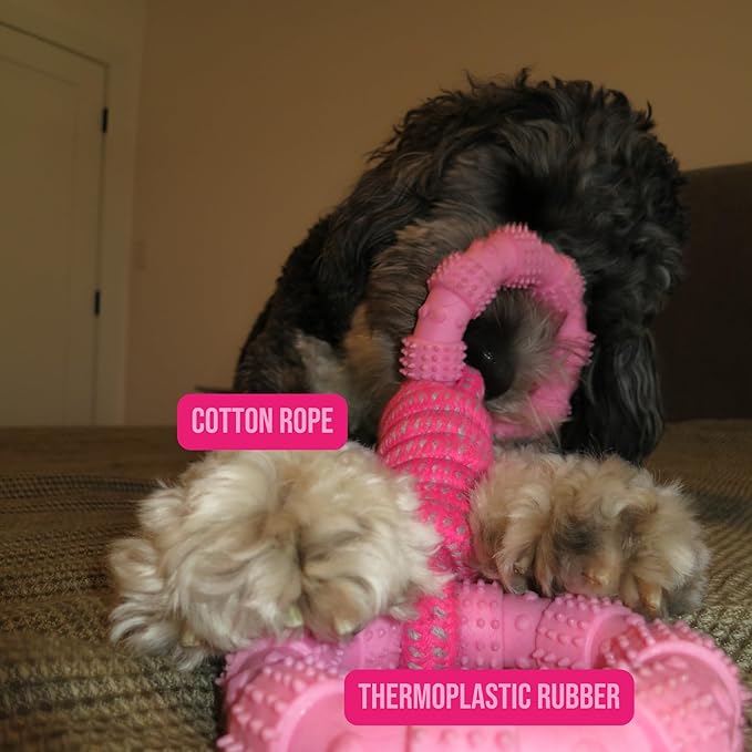 Doug's Dog Supplies Ring Rope Toy – Tug of War Toy for Medium & Large Dogs | Tug & Play Dog Toy