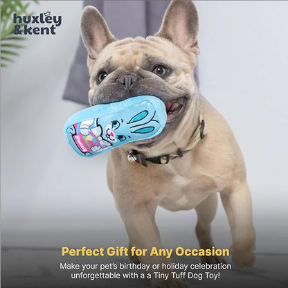 Huxley & Kent Funny Dog Toy w/Squeaker – Power Plush Squeaky Dog Toys for Small Dogs – Durable Small Stuffed Animal for Indoor Play & Fetch - Tiny Tuff Funny Bunnies, 2pk