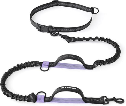 Mile High Life Hands Free Waist Leash for Dog Running Training and Jogging, Adjustable Belt with Double Handle, Reflective Bungee for Medium Large Dogs (Black Purple, 7FT)