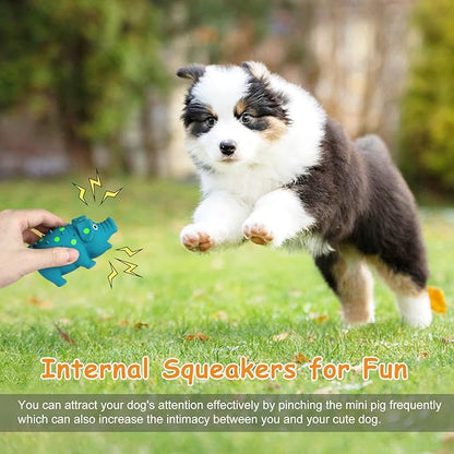 WishLotus Natural Latex Dog Squeaky Toy, Mini Pig-Shaped Dog Chew Toys for Teeth Cleaning, Puppy Chew Toy for Small Dogs to Relieve Stress and Reduce Boredom (Blue,s 1pc)