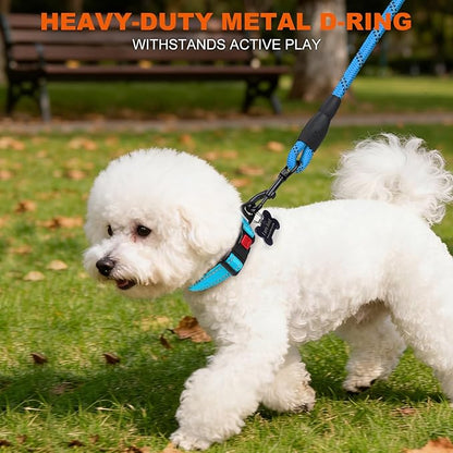 Taglory Reflective Dog Collar with Safety Locking Buckle, Soft Neoprene Padded Dog Collar for Puppy Dogs, Metal D-Ring, Adjustable Nylon Neck Strap for Daily Walking, Training & Running, Sky Blue, XS