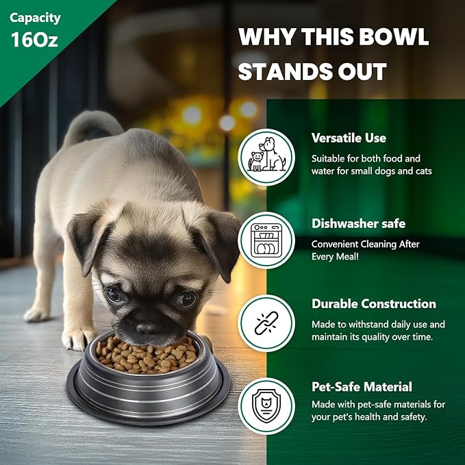 Iconic Pet Color Splash Stripe Non-Skid Stainless Steel Dog & Cat Bowl - Black, 16 Oz, 2 Cup, Durable, Easy to Clean, Anti-Slip Feeding Dish for Food & Water, Stylish Design for Dogs and Cats
