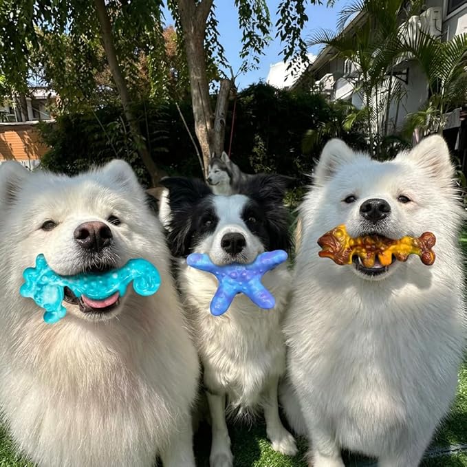 Dog Toys for Aggressive Chewers,3 Pack Indestructible Bone Toy, Ocean Series,Bacon Flavored,Durable Nylon Chew Toys for Medium & Large Breeds, Teeth Cleaning, Keep Them Busy
