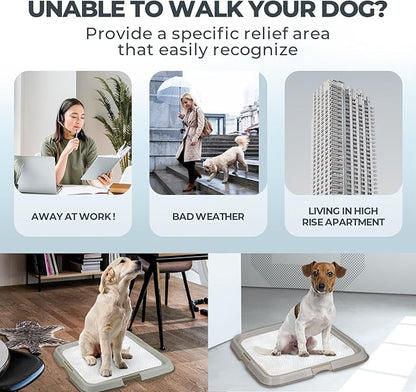 PAWISE Dog Training Pee Pad Holder Tray, Indoor Puppy Potty Pee Pad Floor Tray Dog Toilet, 24''X24', Large