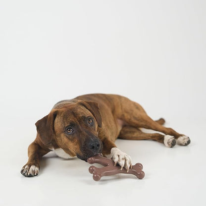 SPOT Bam-Bones Wishbone - Made with Strong Bamboo Fiber, Durable Long Lasting Dog Chew for Light to Moderate Chewers, Great Toy for Adult Dogs & Teething Puppies Under 50lbs, 7in, Bacon Flavor