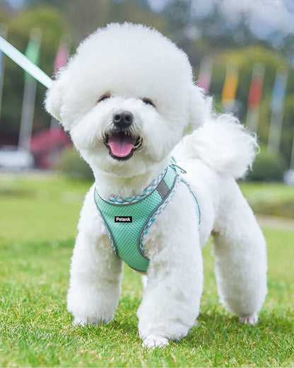 Petank Dog Harness for Small Medium Dogs No Pull, Puppy Harness and Leash Set, Step in Dog Harness for Walking, Running, Training, Small Dog Vest(Green, S)