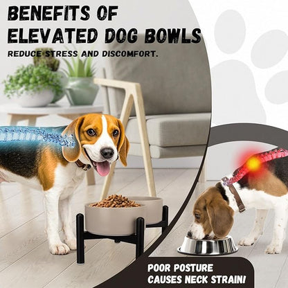 Raised Ceramic Dog Bowl Set - Elevated Double Dishes with Stainless Steel Stand - Food and Water Bowls for Small to Medium Dogs - Each Holds 2 Cups (28.75 fl oz) - Pink