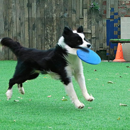 Nonslip Dog Flying Discs Chew Outdoor Toy Rubber Soft Training Exercise for Active Pet Outdoor Fetching Toy for Dog