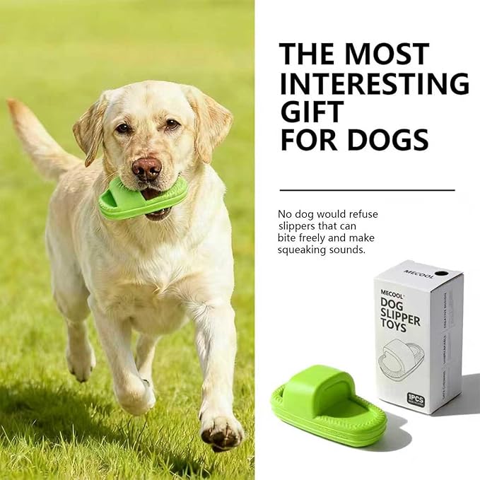 MECOOL Dog Toy Unbreakable Slippers Squeaky Dog Toys for Teehing Chewing Size for Medium and Samll Breeds (Green)