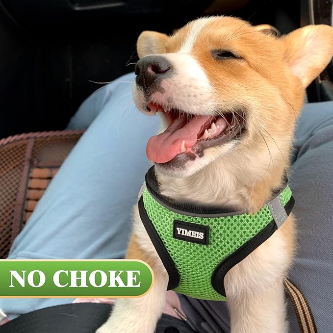 YIMEIS Dog Harness and Leash Set, No Pull Soft Mesh Pet Harness, Reflective Adjustable Puppy Vest for Small Medium Large Dogs, Cats (Grass Green, X-Small (Pack of 1)