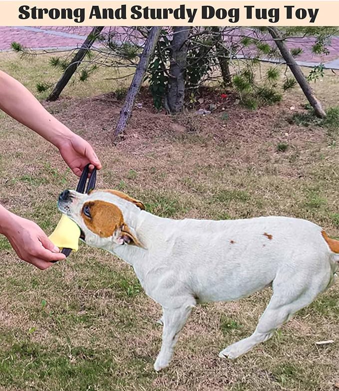 Clysoru Tug of War Dog Toy Bite with 2 Strong Handles Made of Durable Tear Resistant Strong Stitches