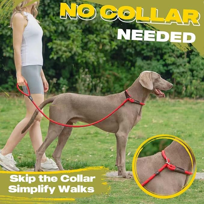Fida Durable Slip Lead Dog Leash, 6 FT x 3/8" Heavy Duty Comfortable Strong Rope Slip Lead for Small Dogs and Puppies, No Pull Pet Training Leash with Highly Reflective (3/8", Red)
