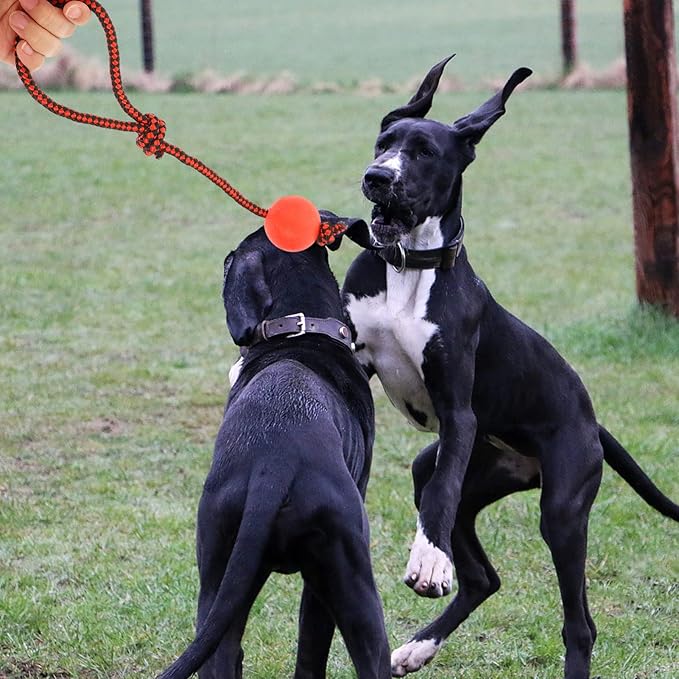 3pcs Dog Training Ball on Rope Dog Rope Toys Ball Exercise Rubber on for Pet Training Playing Chewing Reward Fetch Play