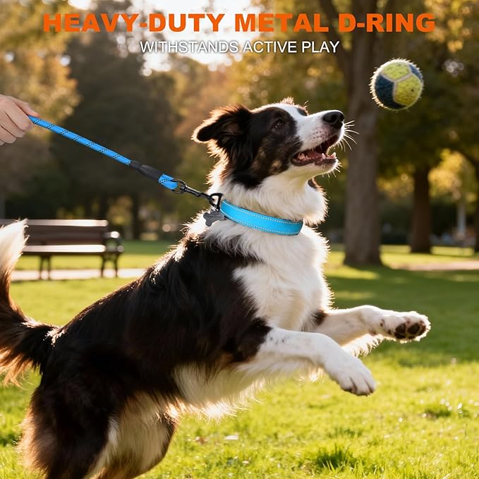 Taglory Reflective Dog Collar with Safety Locking Buckle, Soft Neoprene Padded Dog Collar for Medium Dogs, Metal D-Ring, Adjustable Nylon Neck Strap for Daily Walking, Training & Running, SkyBlue, M
